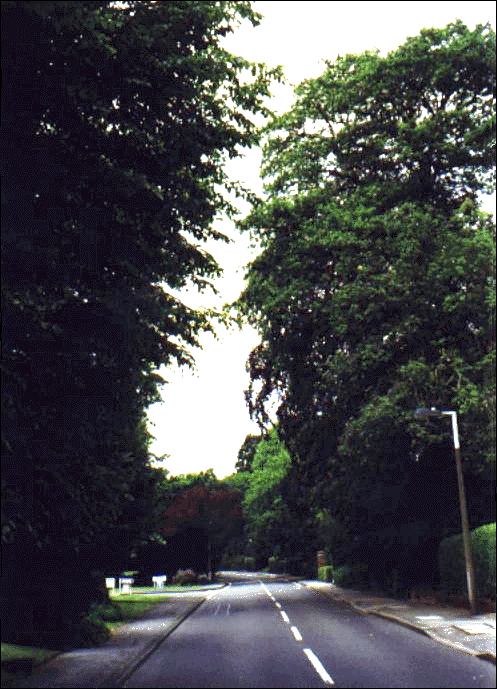 Paines Lane